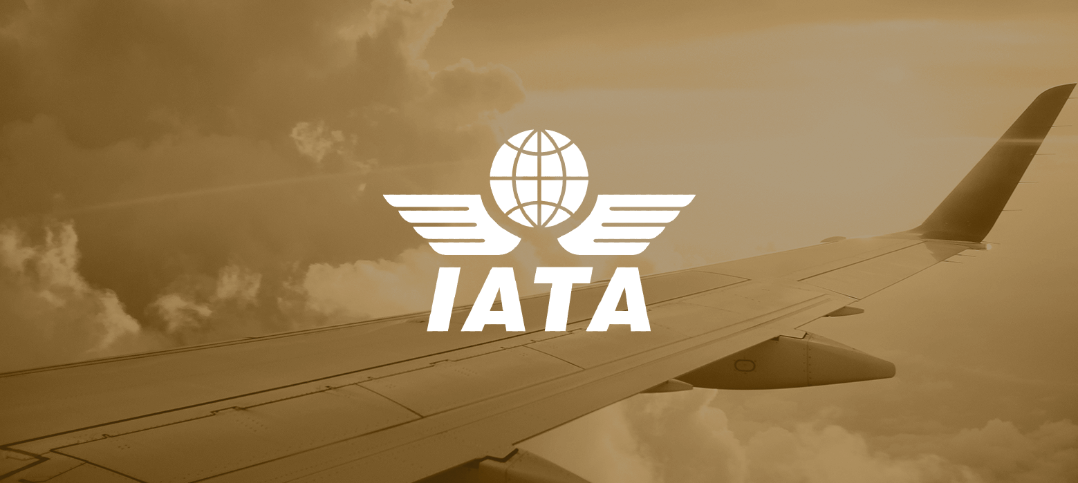 IATA BSP SERVICES