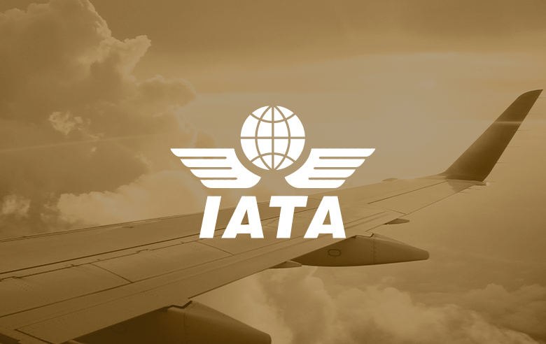 IATA BSP SERVICES