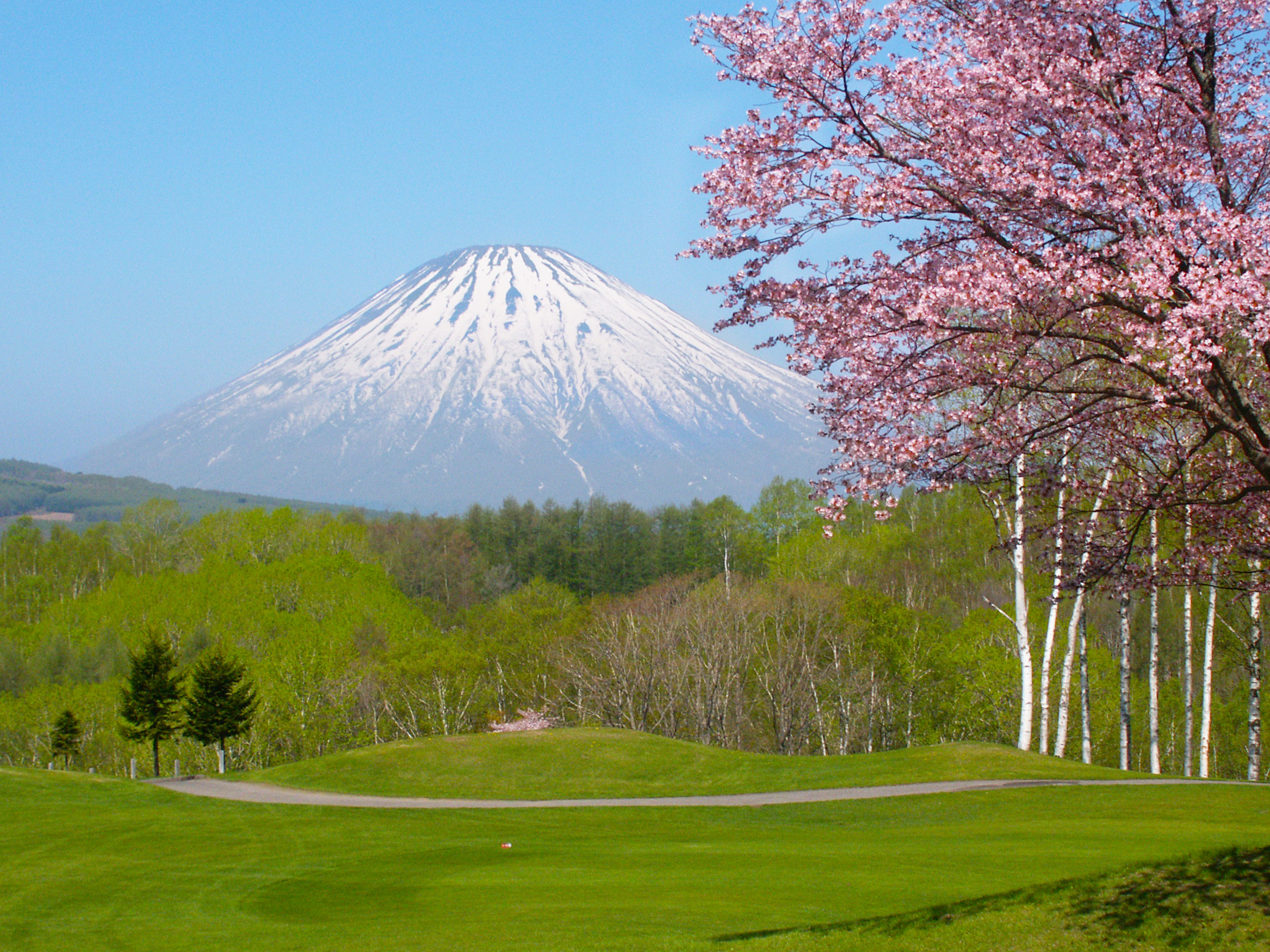 [6월 3일, 4일 출발] LJ [일본] 북해도 루스츠리조트&골프 3박 4일